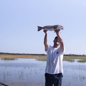 Meet your Posher, Samuel